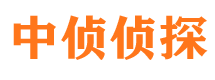 东丰找人公司